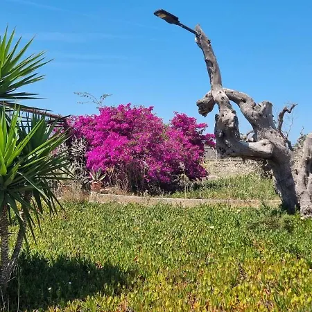 Magia Salentina! Tipico Trullo Con Giardino *